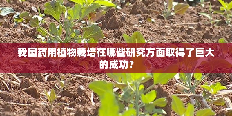 我国药用植物栽培在哪些研究方面取得了巨大的成功？