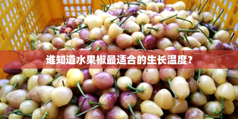 谁知道水果椒最适合的生长温度？