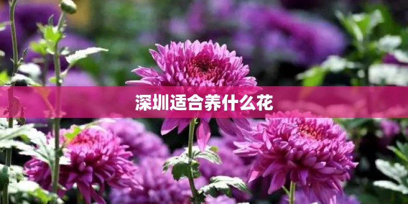 北京朝阳的蓝色港湾有什么好玩儿的？