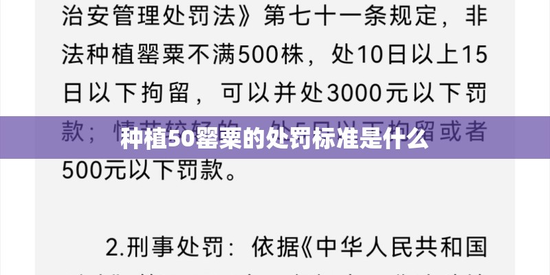 种植50罂粟的处罚标准是什么