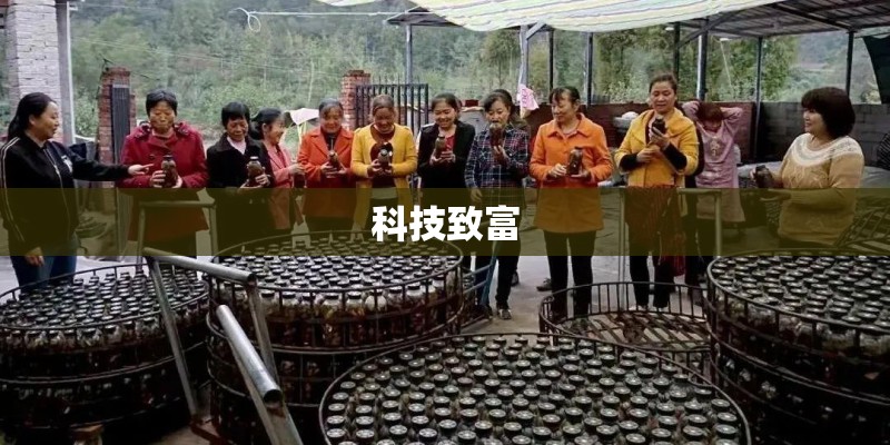 科技致富