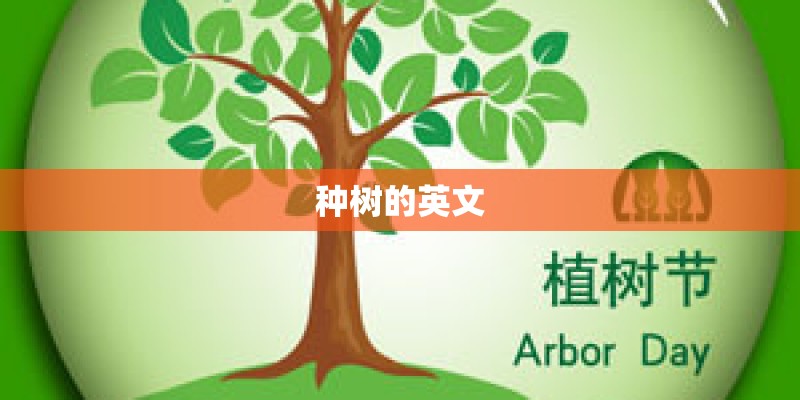 种树的英文