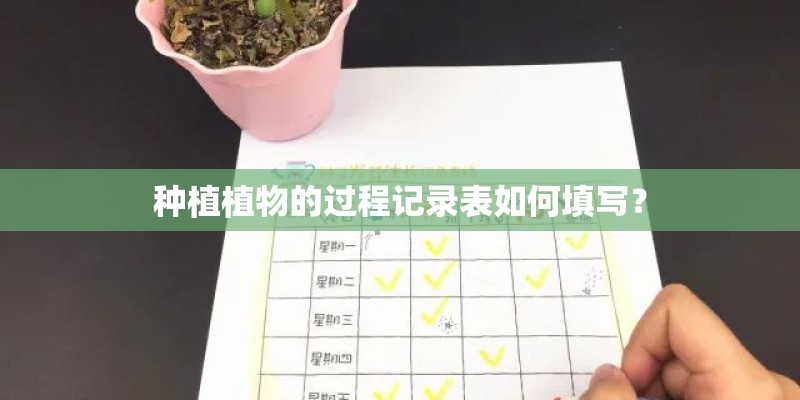 种植植物的过程记录表如何填写？