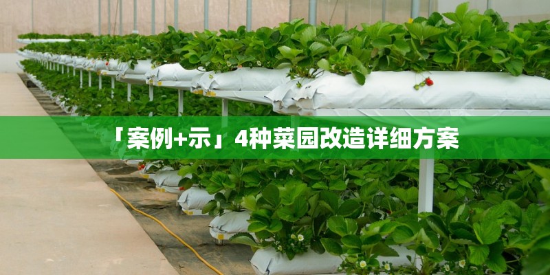 「案例+示」4种菜园改造详细方案