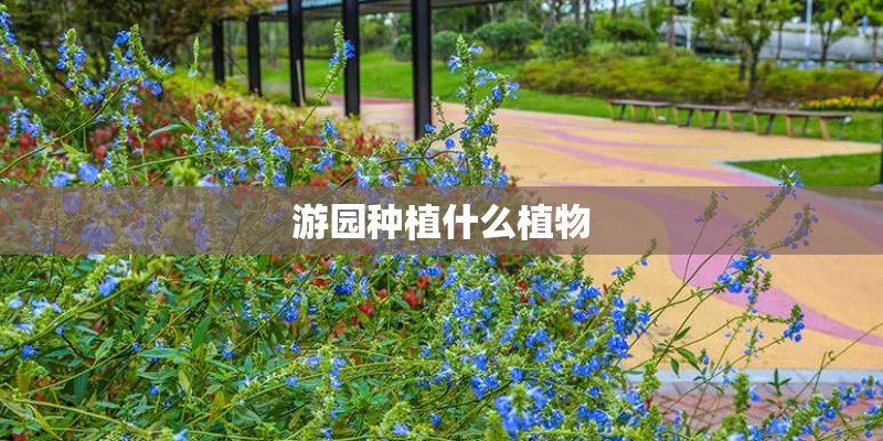 游园种植什么植物