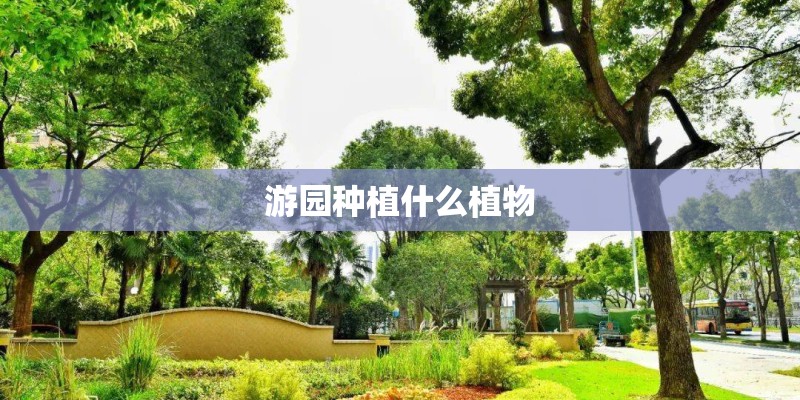 游园种植什么植物