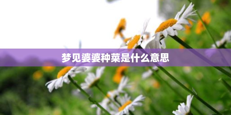 梦见婆婆种菜是什么意思