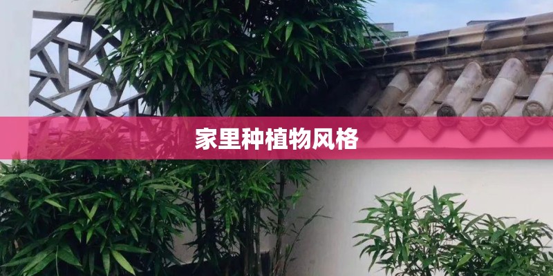 家里种植物风格