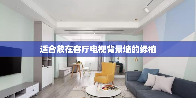 适合放在客厅电视背景墙的绿植