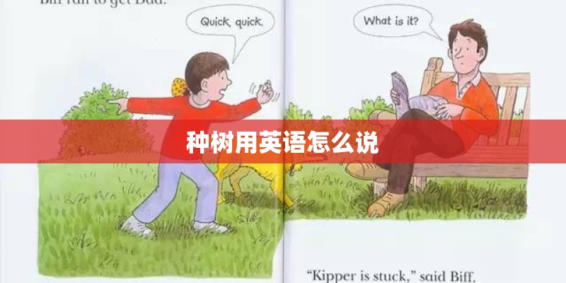 种树用英语怎么说