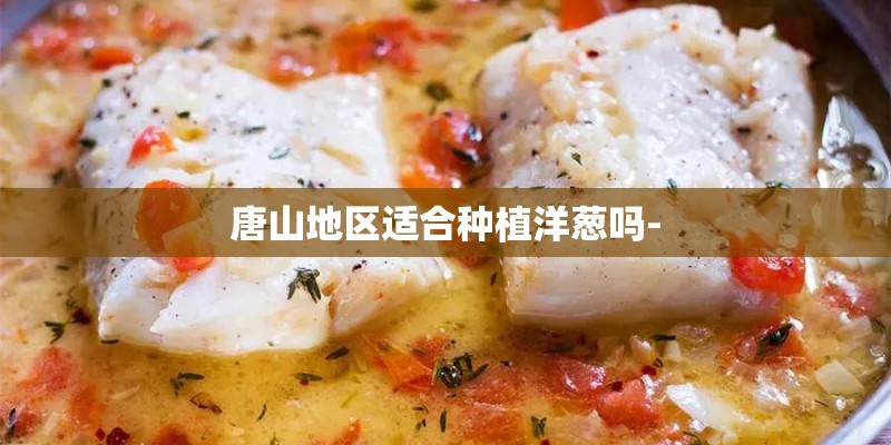 唐山地区适合种植洋葱吗-