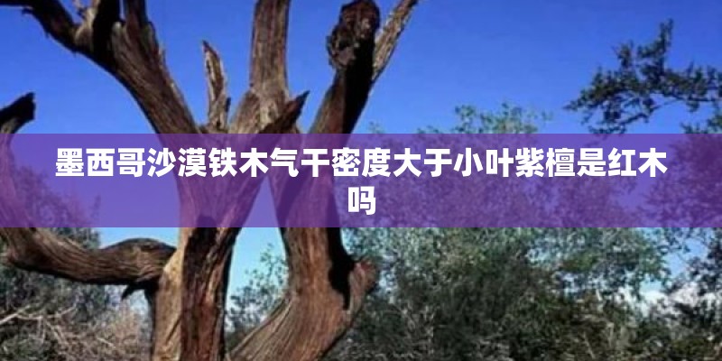 墨西哥沙漠铁木气干密度大于小叶紫檀是红木吗