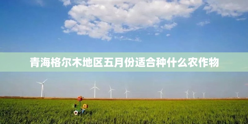 青海格尔木地区五月份适合种什么农作物