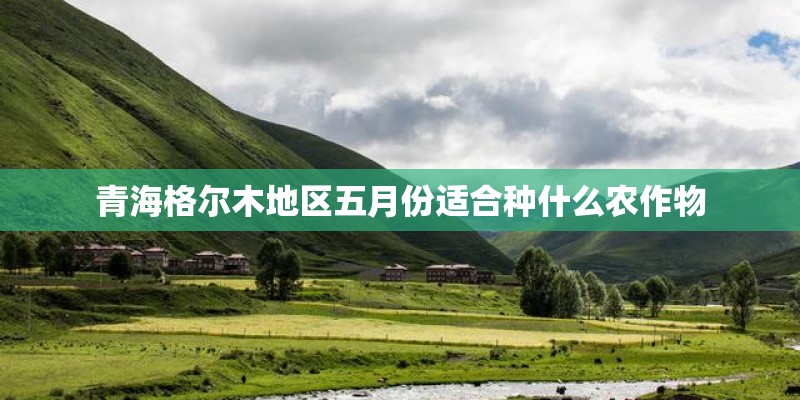 青海格尔木地区五月份适合种什么农作物