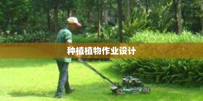 种植植物作业设计