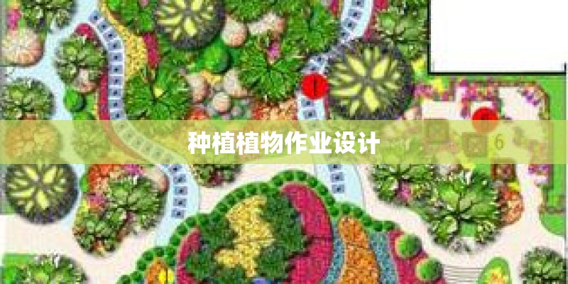 种植植物作业设计