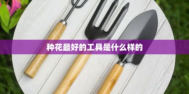种花最好的工具是什么样的