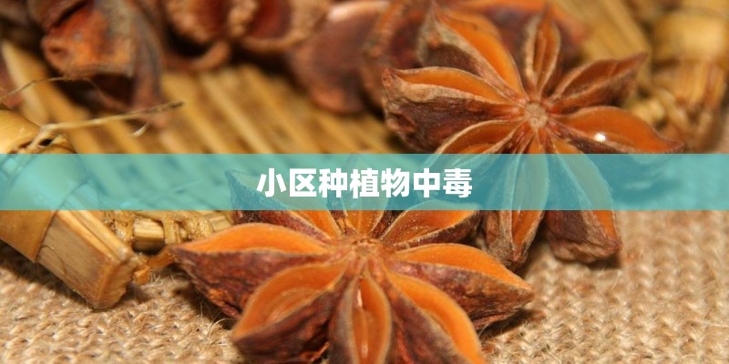 小区种植物中毒
