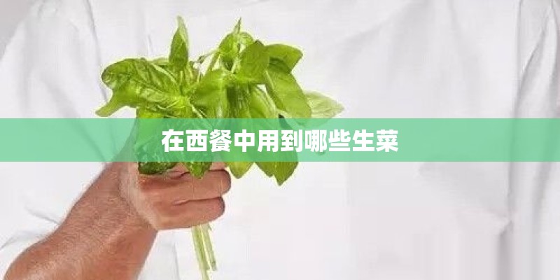 在西餐中用到哪些生菜