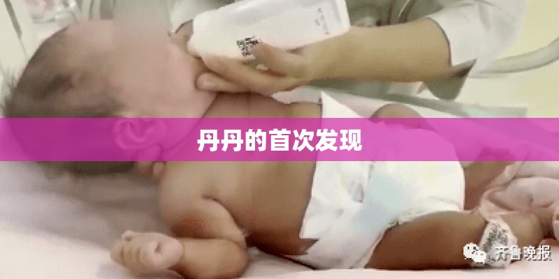 丹丹的首次发现