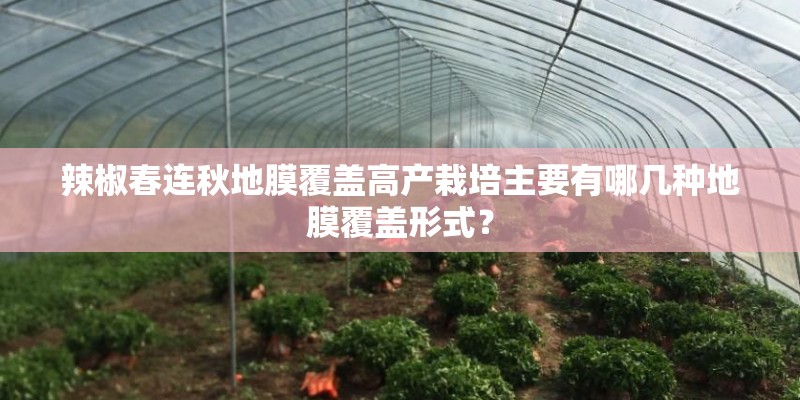 辣椒春连秋地膜覆盖高产栽培主要有哪几种地膜覆盖形式？