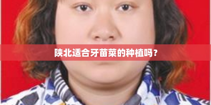 陕北适合牙苗菜的种植吗？