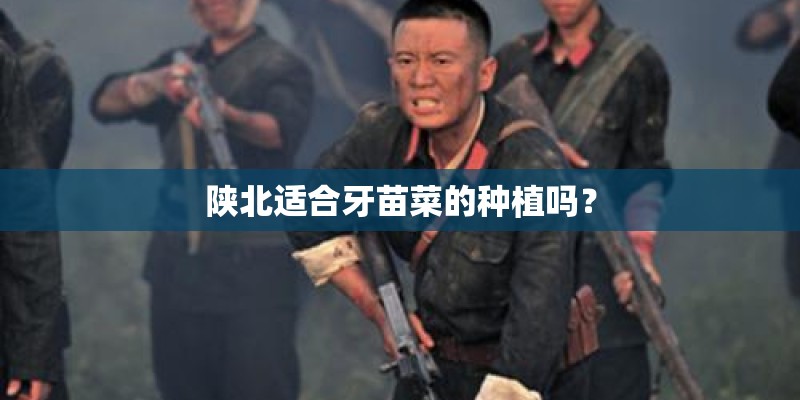 陕北适合牙苗菜的种植吗？