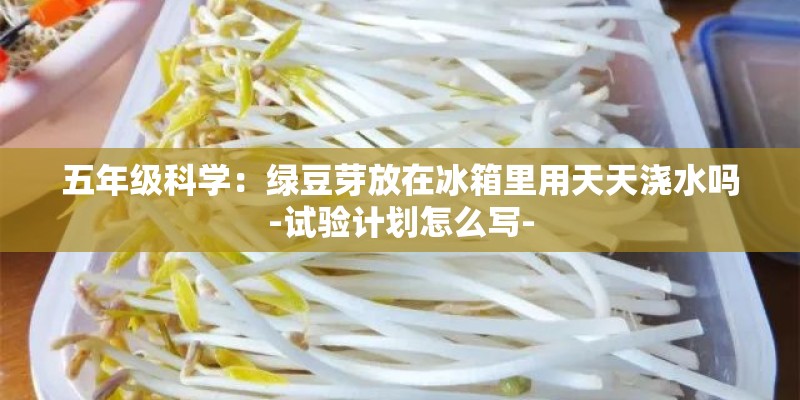 五年级科学：绿豆芽放在冰箱里用天天浇水吗-试验计划怎么写-