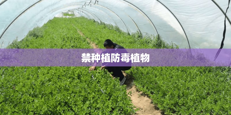 禁种植防毒植物