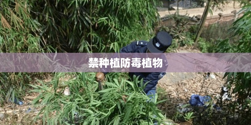 禁种植防毒植物