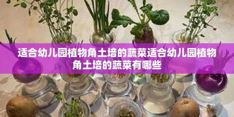 适合幼儿园植物角土培的蔬菜适合幼儿园植物角土培的蔬菜有哪些