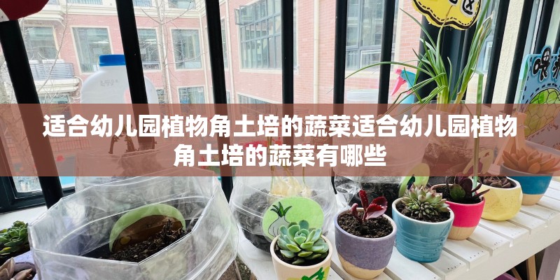 适合幼儿园植物角土培的蔬菜适合幼儿园植物角土培的蔬菜有哪些