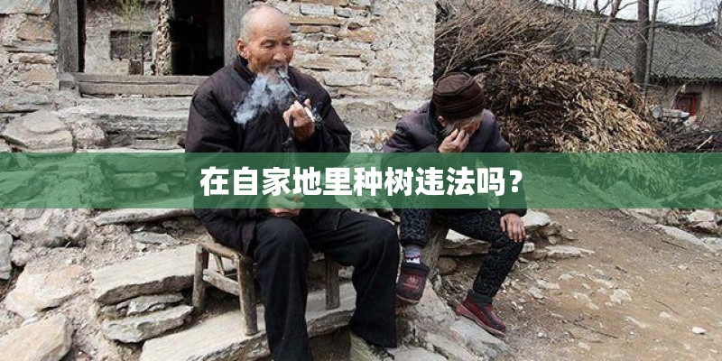 在自家地里种树违法吗？