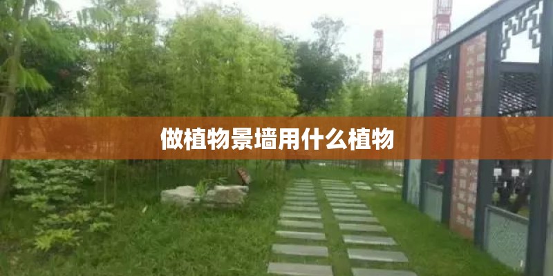 做植物景墙用什么植物