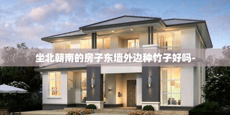 坐北朝南的房子东墙外边种竹子好吗-