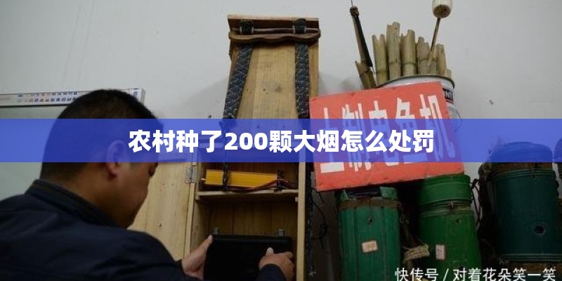 农村种了200颗大烟怎么处罚