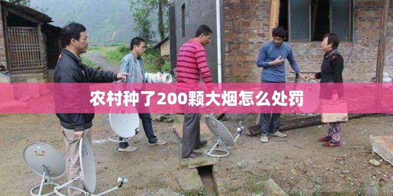 农村种了200颗大烟怎么处罚