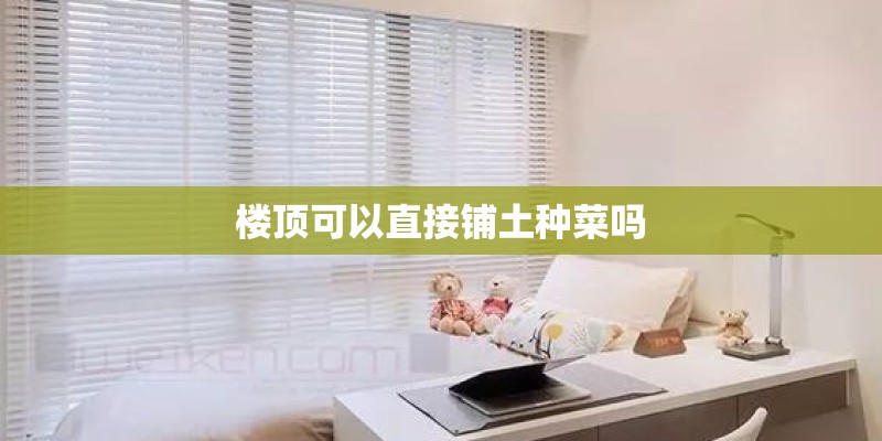 楼顶可以直接铺土种菜吗