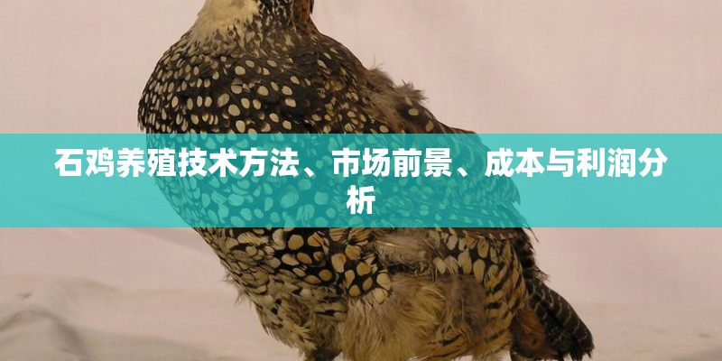 石鸡养殖技术方法、市场前景、成本与利润分析
