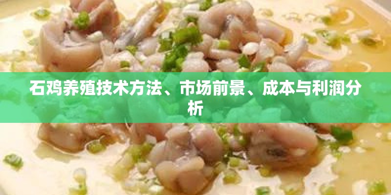 石鸡养殖技术方法、市场前景、成本与利润分析