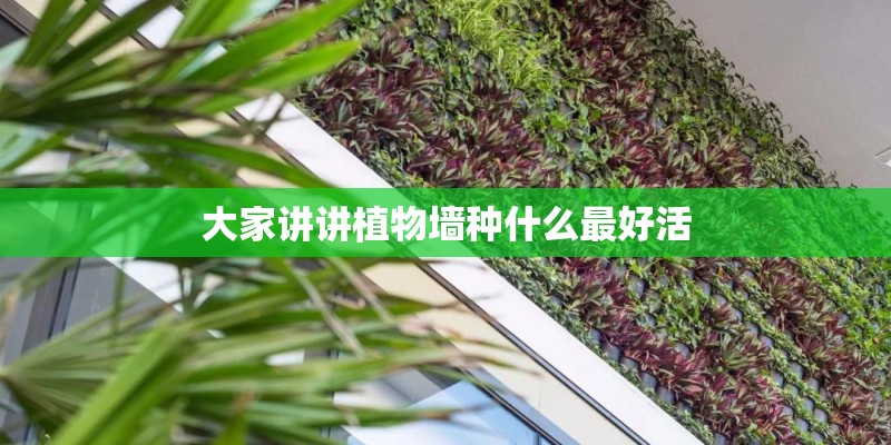 大家讲讲植物墙种什么最好活