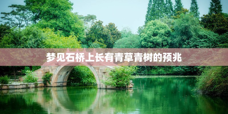 梦见石桥上长有青草青树的预兆
