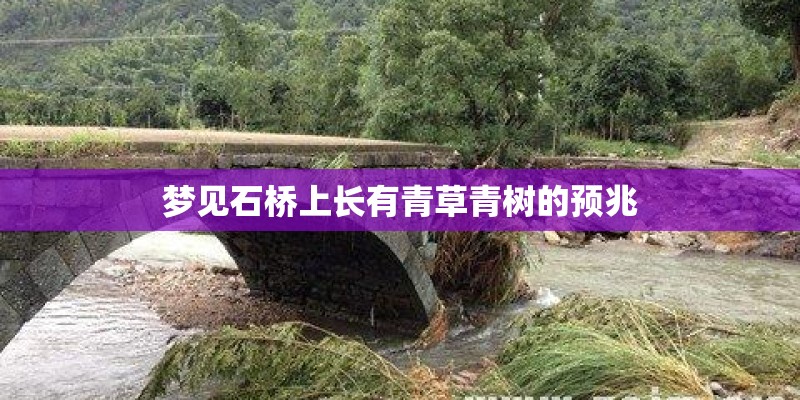 梦见石桥上长有青草青树的预兆