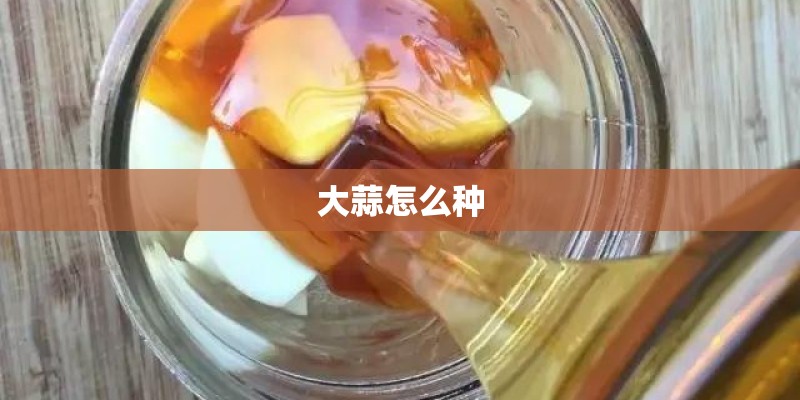 大蒜怎么种