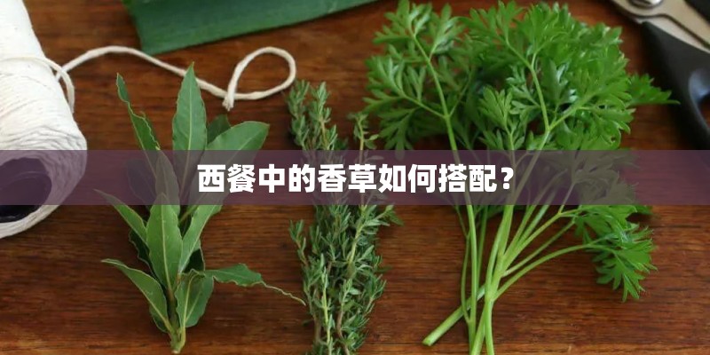 西餐中的香草如何搭配？