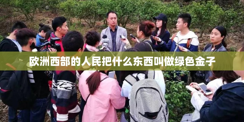 欧洲西部的人民把什么东西叫做绿色金子