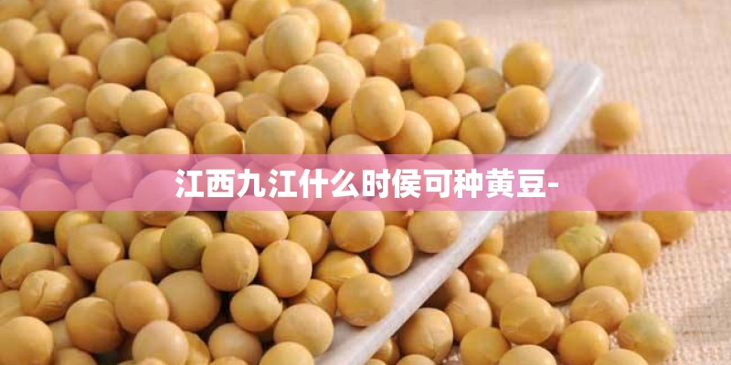 江西九江什么时侯可种黄豆-