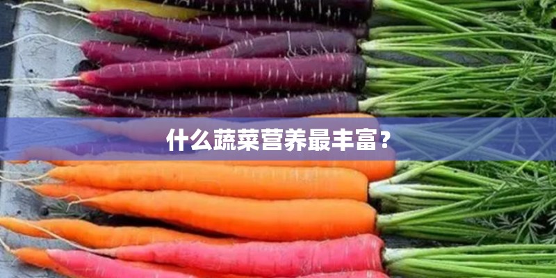 什么蔬菜营养最丰富？