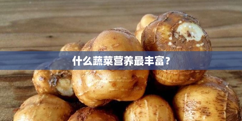什么蔬菜营养最丰富？