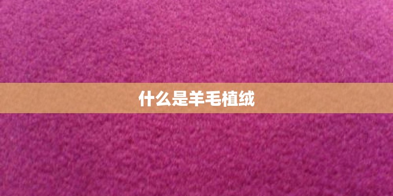 什么是羊毛植绒
